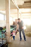 papà e un' poco ragazza camminare Tenere mani attraverso un' azienda agricola passato mangiare capre foto