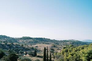 verde oliva boschetti su il versante di il montagne contro il blu cielo. Grecia foto