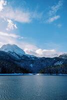 nevoso foresta su il riva di nero lago. durmitor nazionale parco, montenegro foto