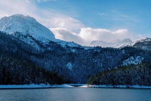 nevoso foresta su il pendenza di nero montagna su il riva di nero lago. durmitor nazionale parco, montenegro foto