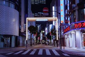 un' notte paesaggio urbano di il folla a il neon cittadina nel Shinjuku tokyo foto