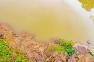 fiume mekong luang prabang laos dall'alto con terreno a maglie. foto