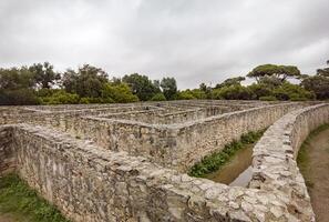 Visualizza di il pietra labirinto di un' parco nel il castello foto