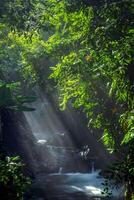 bellissimo mattina Visualizza a partire dal Indonesia di montagne e tropicale foresta foto