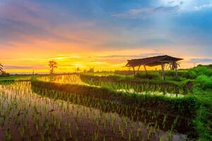 bellissimo mattina Visualizza a partire dal Indonesia di montagne e tropicale foresta foto