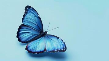 ai generato blu farfalla su un' leggero blu sfondo foto