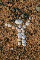 un' poco uomo figura fatto di sabbia e conchiglie su il mare spiaggia. Lettonia, baltico, golf di riga. copia spazio. ingenuo arte. bambini mestiere, arte pezzo. passatempo artista. simbolismo foto