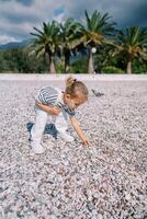 poco ragazza raccolta ciottoli su il spiaggia, pendente inoltrare foto