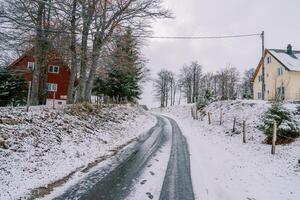 nevoso ghiacciato strada nel un' villaggio tra alberi foto