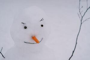 sorridente pupazzo di neve con pulsante occhi e un' carota naso sta su il neve foto