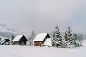 innevato villaggio circondato di abete alberi nel un' montagna valle sotto nevicata foto