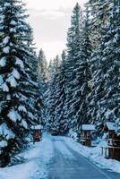 di legno chioschi per Souvenirs su il lato di il strada nel un' nevoso foresta foto