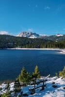 di legno panchina su il nevoso riva di il nero lago. durmitor nazionale parco, montenegro foto