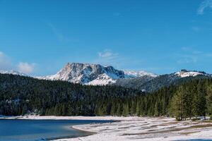 nero lago a il bordo di un' conifero foresta a il piede di il nevoso montagne. nazionale parco durmitore, montenegro foto