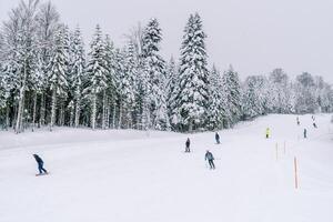 sciatori e snowboarder scendere il dolce neve pendenza lungo il bordo di il foresta foto