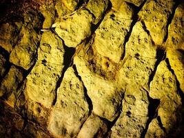 struttura di giallo pietra nel il giardino foto