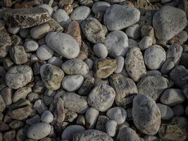 trama di pietra scura nel giardino foto