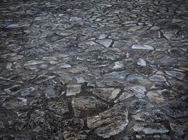 trama di pietra scura nel giardino foto