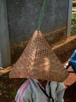 un' piccolo bambino nel un' giacca era giocando con un' agricoltori cappello logoro su il suo piccolo testa foto