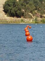 Folsom, circa, 2003 - corda di arancia palla boe attraverso lago con quercia alberi su riva foto