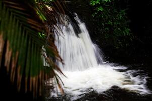 cascata grande isola Hawaii con verde impianti foto