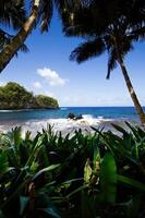 Visualizza di oceano passato palma alberi e verde vegetazione grande isola foto