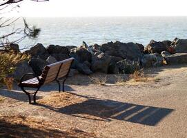 vuoto spiaggia con ombra a mare riva foto