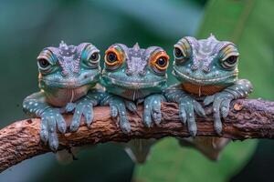 ai generato camaleonte bambino gruppo di animali sospeso su su un' ramo, carino, sorridente, adorabile foto