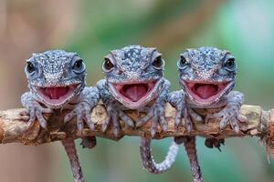 ai generato camaleonte bambino gruppo di animali sospeso su su un' ramo, carino, sorridente, adorabile foto