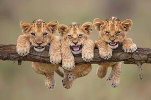 ai generato Leone bambino gruppo di animali sospeso su su un' ramo, carino, sorridente, adorabile foto