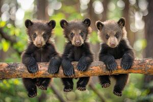 ai generato orso bambino gruppo di animali sospeso su su un' ramo, carino, sorridente, adorabile foto