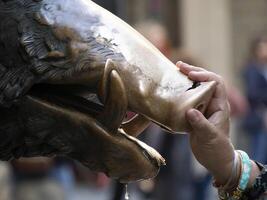 dettaglio di mano toccante bene fortuna rame maiale statua nel Firenze rito di fortuna voi avere per strofinare un' moneta su il naso di selvaggio cinghiale e poi far cadere esso in il tombino copertina di il Porcellino Fontana foto