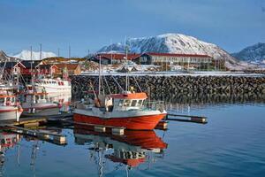 pesca Barche e yachts su molo nel Norvegia foto