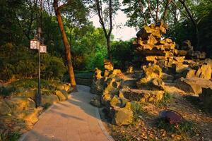 parco nel Chengdu, Cina foto