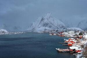 reine pesca villaggio, Norvegia foto