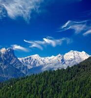 Himalaya e foresta. India foto