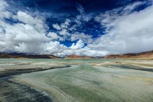 himalayano lago tso Kar, ladakh, India foto