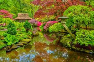 giapponese giardino, parco clingendael, il l'Aia, Olanda foto