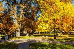 autunno nel parco foto