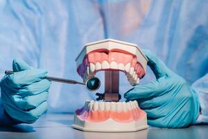 un' dentale medico indossare blu guanti e un' maschera detiene un' dentale modello di il superiore e inferiore fauci e un' dentale specchio foto