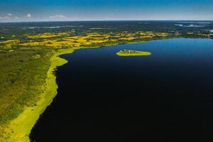 superiore Visualizza di lago drivyaty nel il braslavo laghi nazionale parco, il maggior parte bellissimo laghi nel bielorussia.an isola nel il lago.bielorussia. foto