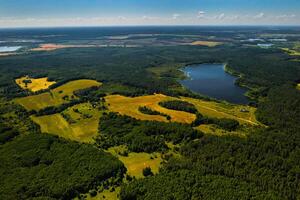 superiore Visualizza di bulla lago nel il foresta nel il braslavo laghi nazionale parco a alba, il maggior parte bellissimo posti nel bielorussia.an isola nel il lago.bielorussia. foto