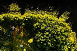 superiore Visualizza di il turista base e bulla lago nel il foresta nel il braslavo laghi nazionale parco a alba, il maggior parte bellissimo posti nel il città di bielorussia.an isola nel il lago.bielorussia. foto