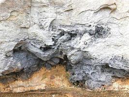 lava solidificata nell'isola di jeju. Corea del Sud. avvicinamento foto