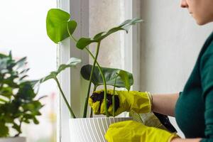 donna nel giallo gomma da cancellare guanti è giardinaggio. foto