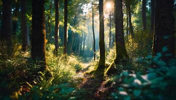 ai generato mattina foresta albero foto