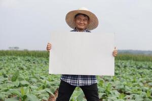 bello asiatico uomo contadino detiene vuoto carta manifesto a verdure giardino. concetto, agricoltura occupazione. copia spazio per aggiungendo testo o pubblicità. contento contadino. foto