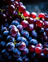 ai generato maturo rosso uva su vigneti nel autunno raccolto. ai generativo foto
