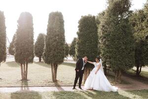 il sposo baci il della sposa mano. nozze foto di un' coppia nel amore. un' giovane e bello uomo baci il suo della moglie mano con un' oro squillo, proponendo.