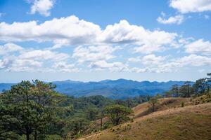 ta nang - phan letame itinerario con pietra miliare fra 3 province attraverso erba colline e foreste nel canzone mao natura Riserva foto